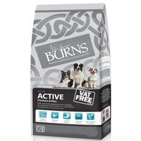 Burns Active - Chicken & Rice